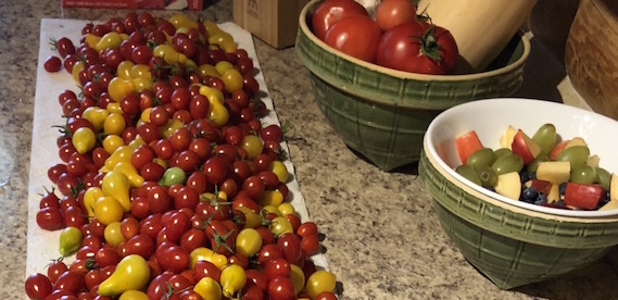BHS Students Pick Golden Rule Tomatoes for JCFFF
