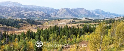 WY Game & Fish Raffle