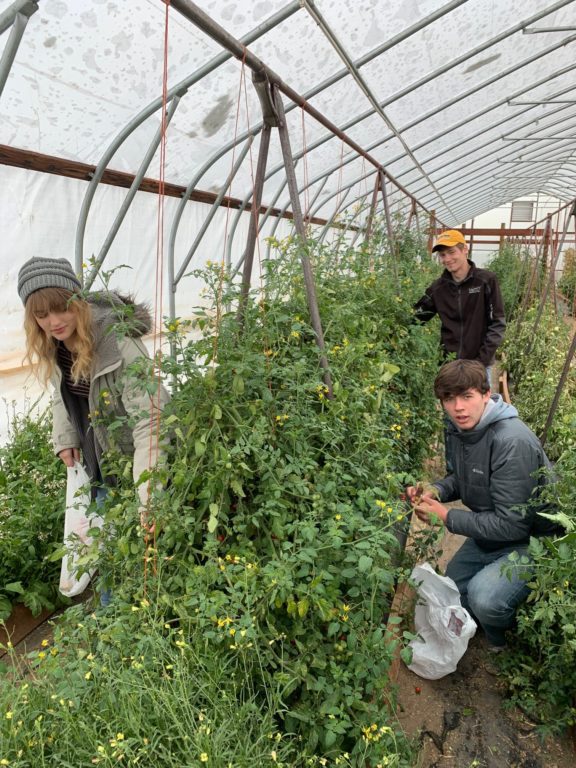 JC-FFF loves Golden Rule Produce and BHS Pemmican staff editors!